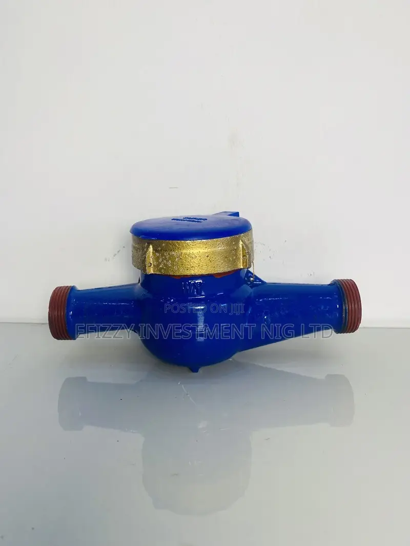 Dn25 Mechanical Brass Water Meter (Efy 080)