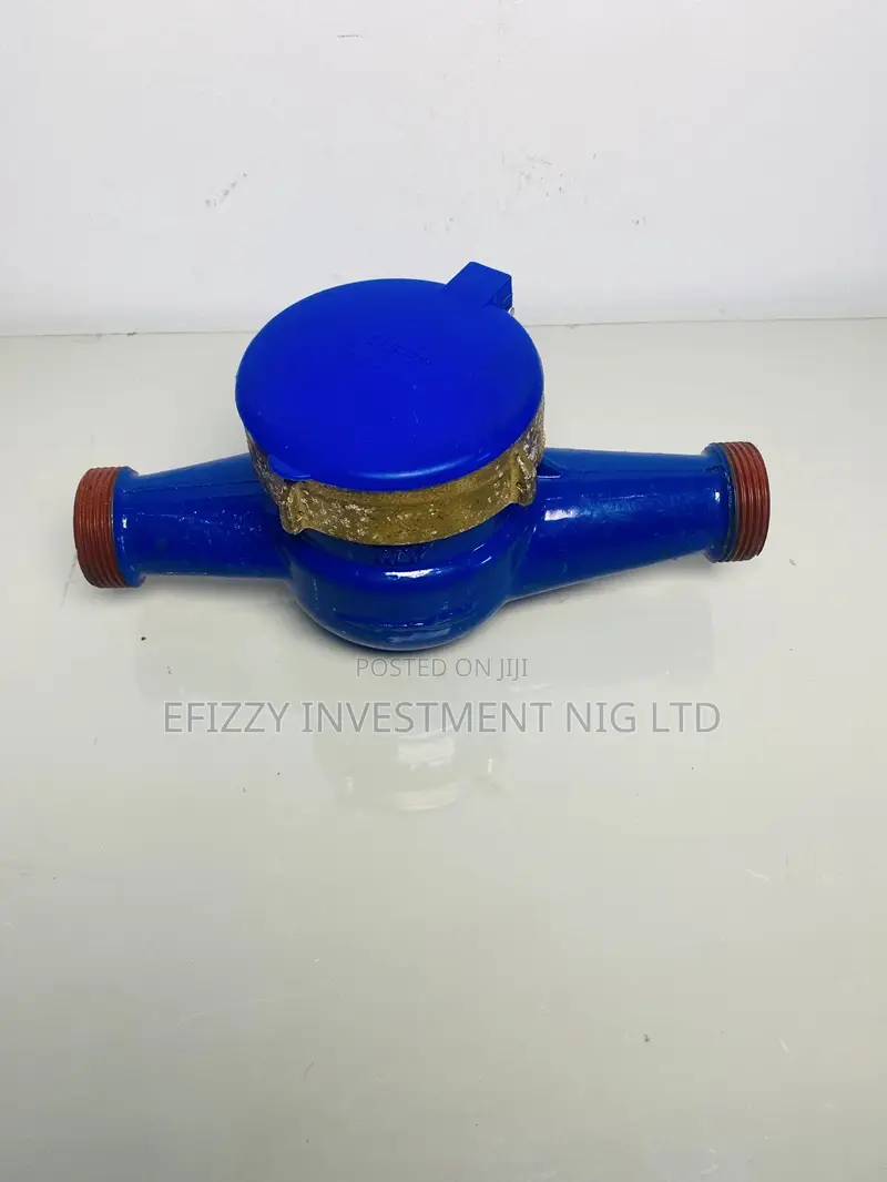 Dn25 Mechanical Brass Water Meter (Efy 080)