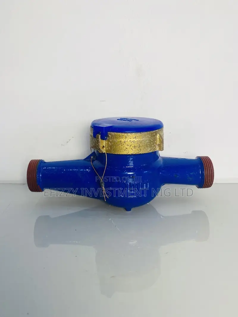 Dn25 Mechanical Brass Water Meter (Efy 080)