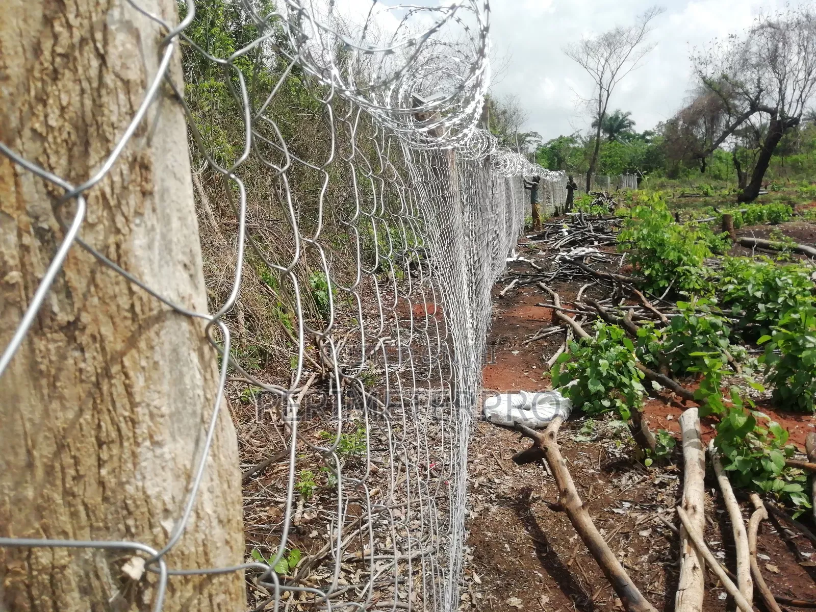 Chainlink Wire Mesh Fences