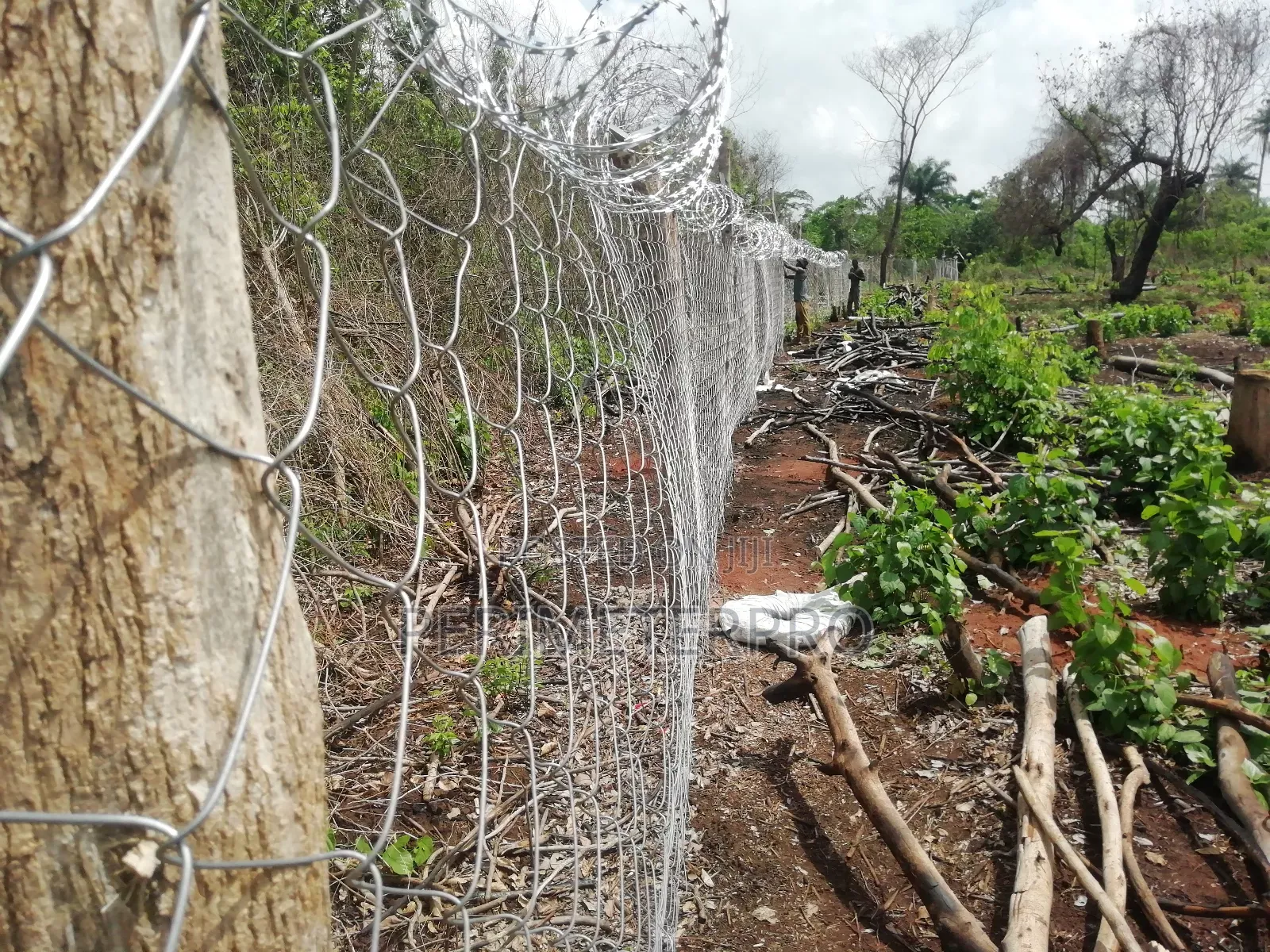 Chainlink Wire Mesh Fences