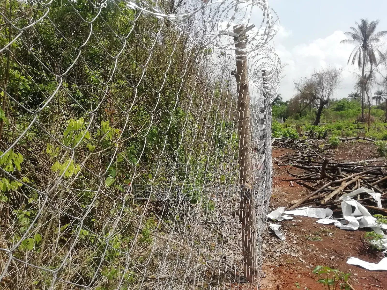 Chainlink Wire Mesh Fences