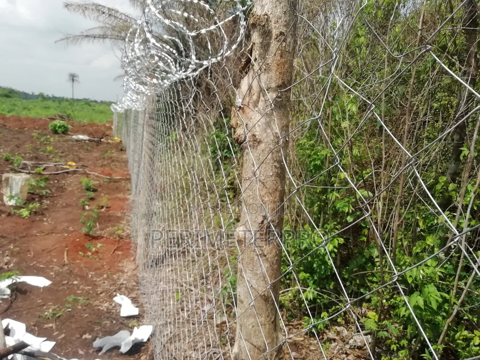 Chainlink Wire Mesh Fences