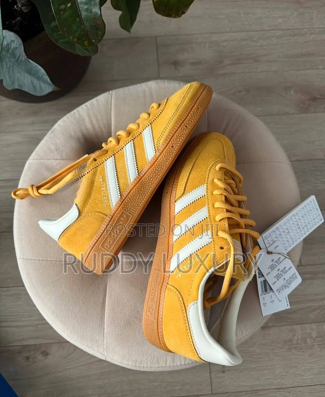 Adidas Handball Spezial "Yellow” /Buy One Get a Free Sock