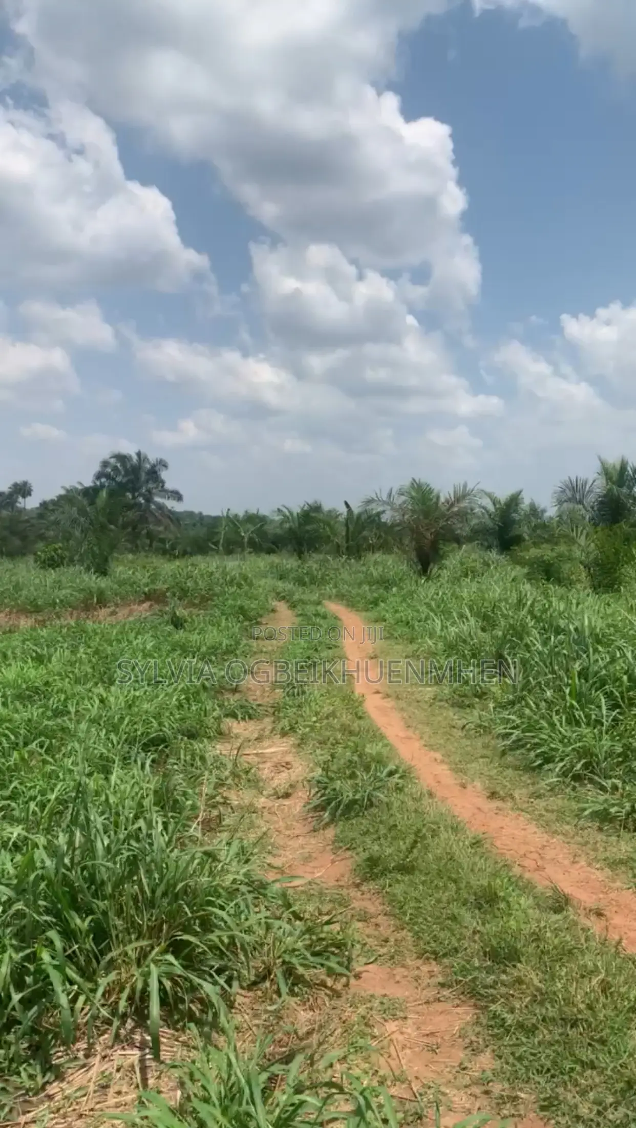 Affordable Farm Land for Sale – High Roi | Tamara Farms