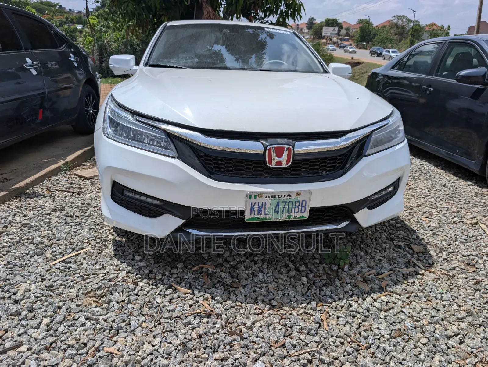 Honda Accord EX-L V-6 4dr Sedan (3.5L 6cyl 6A) 2014 White