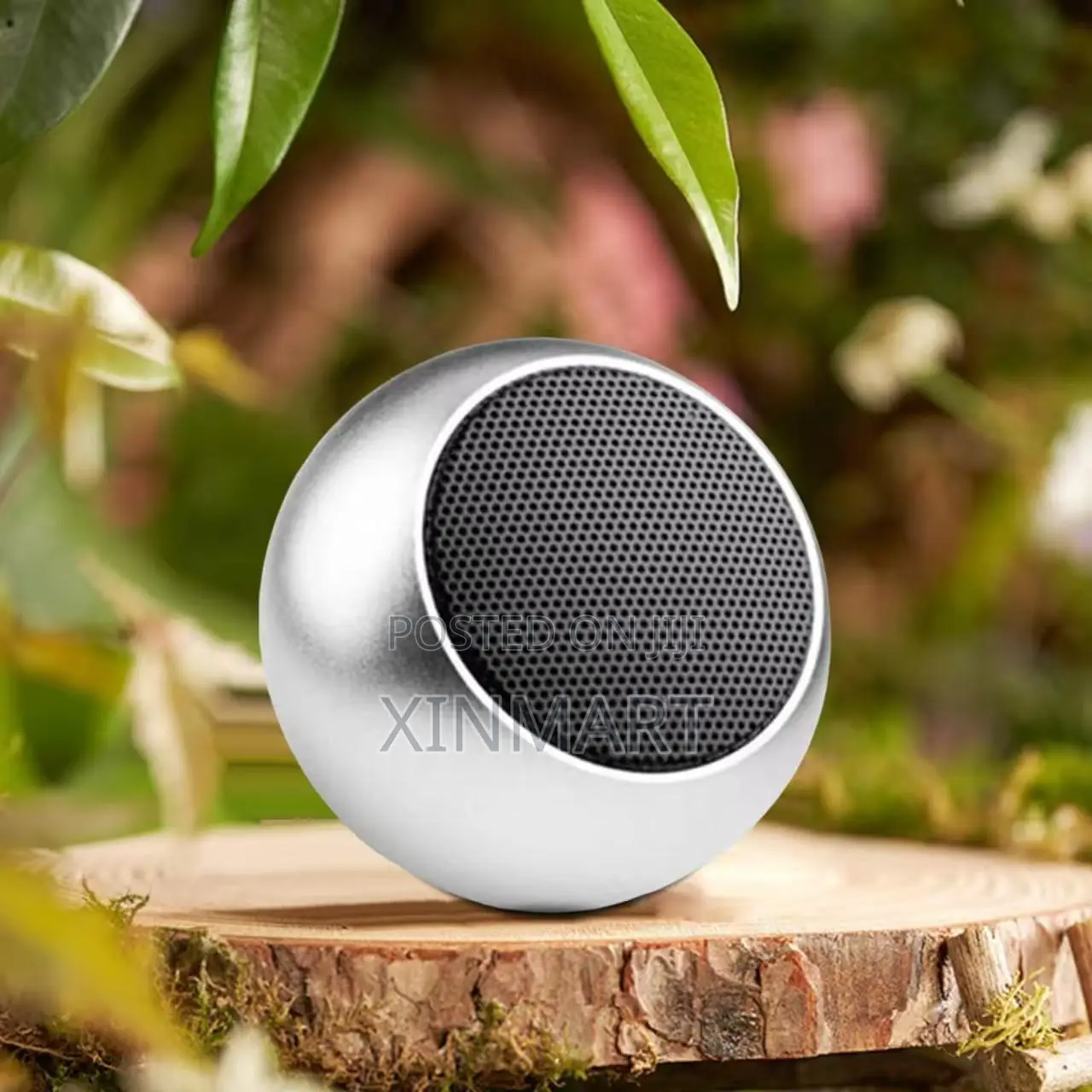 Mini Loud Speaker