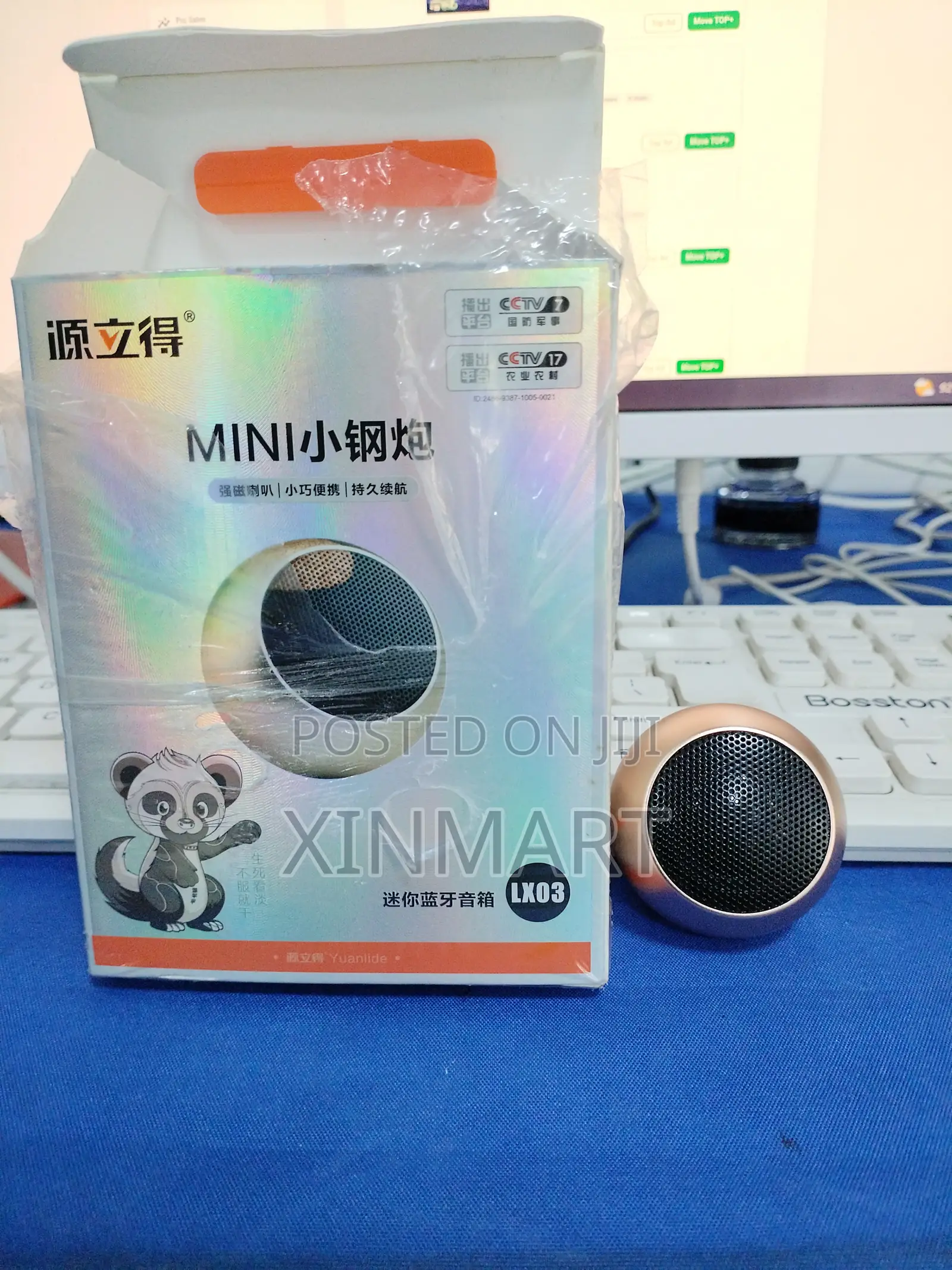 Mini Loud Speaker