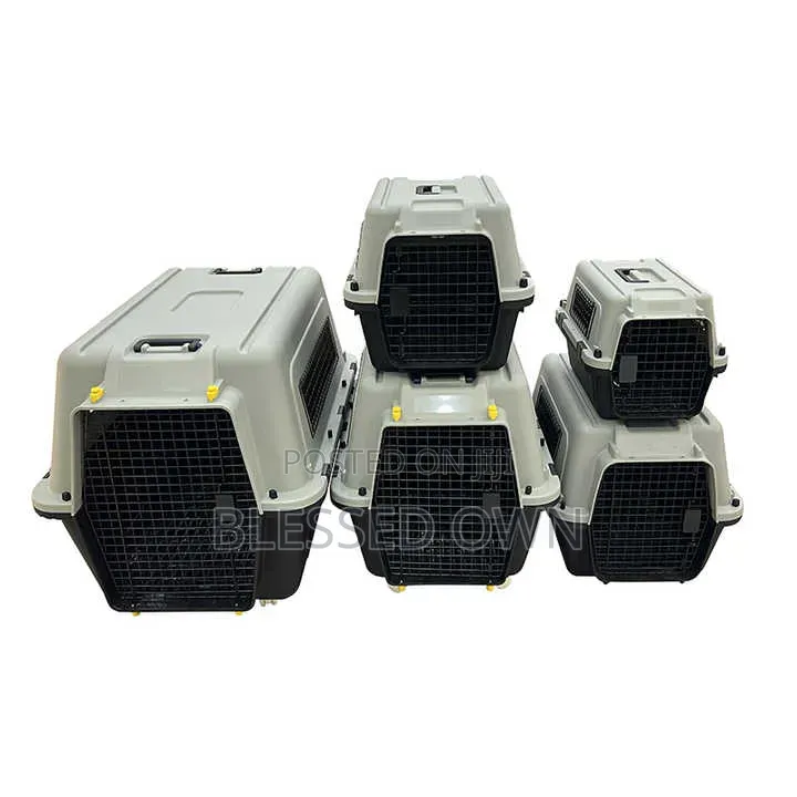 Aviation Standard Carrier for Dogs, Cats and All Kinds of Pets