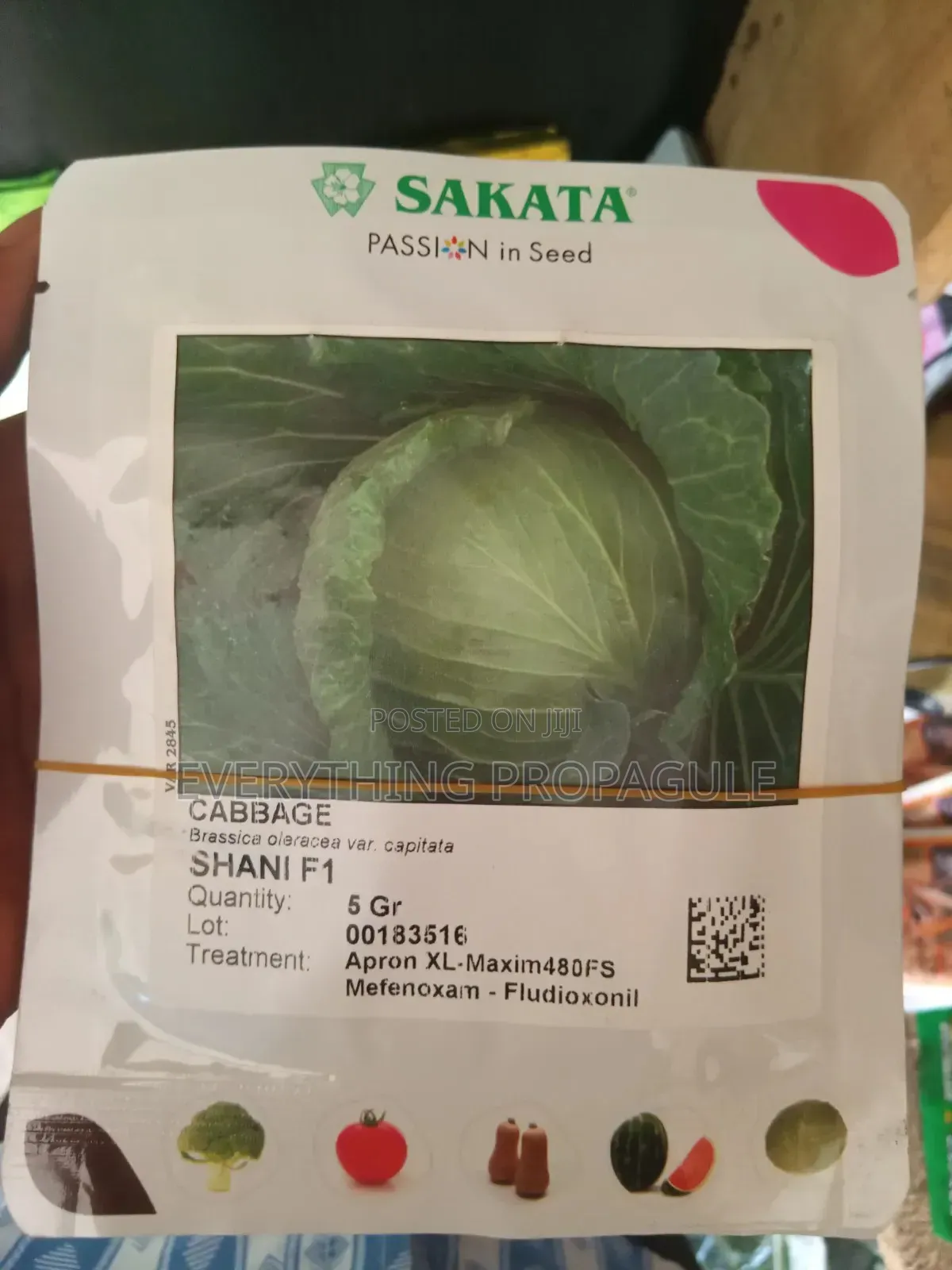Shani F1 - Sakata Cabbage
