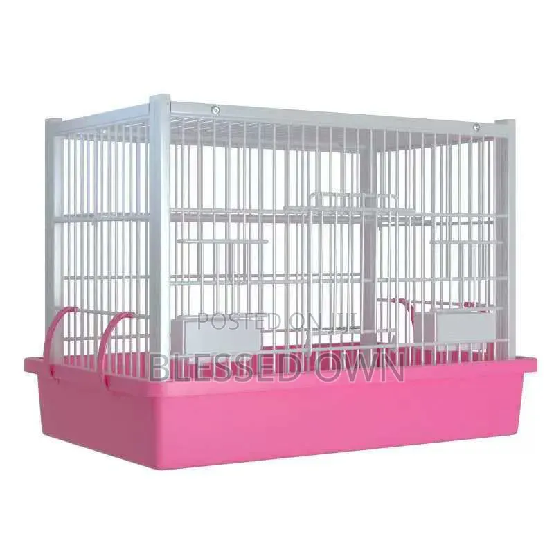 Parrots Bird Colorful Cage