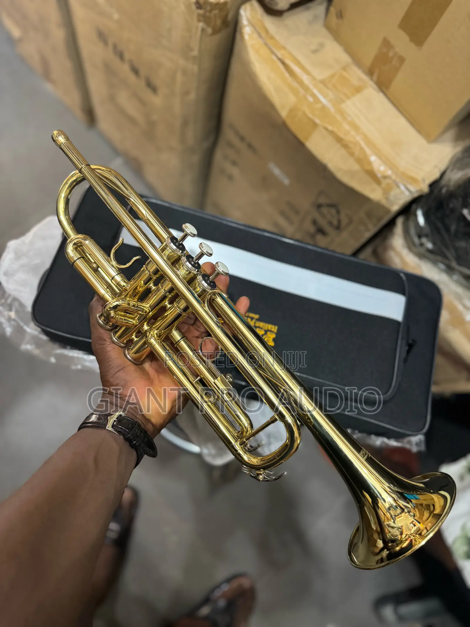 Proel Gold Trumpet