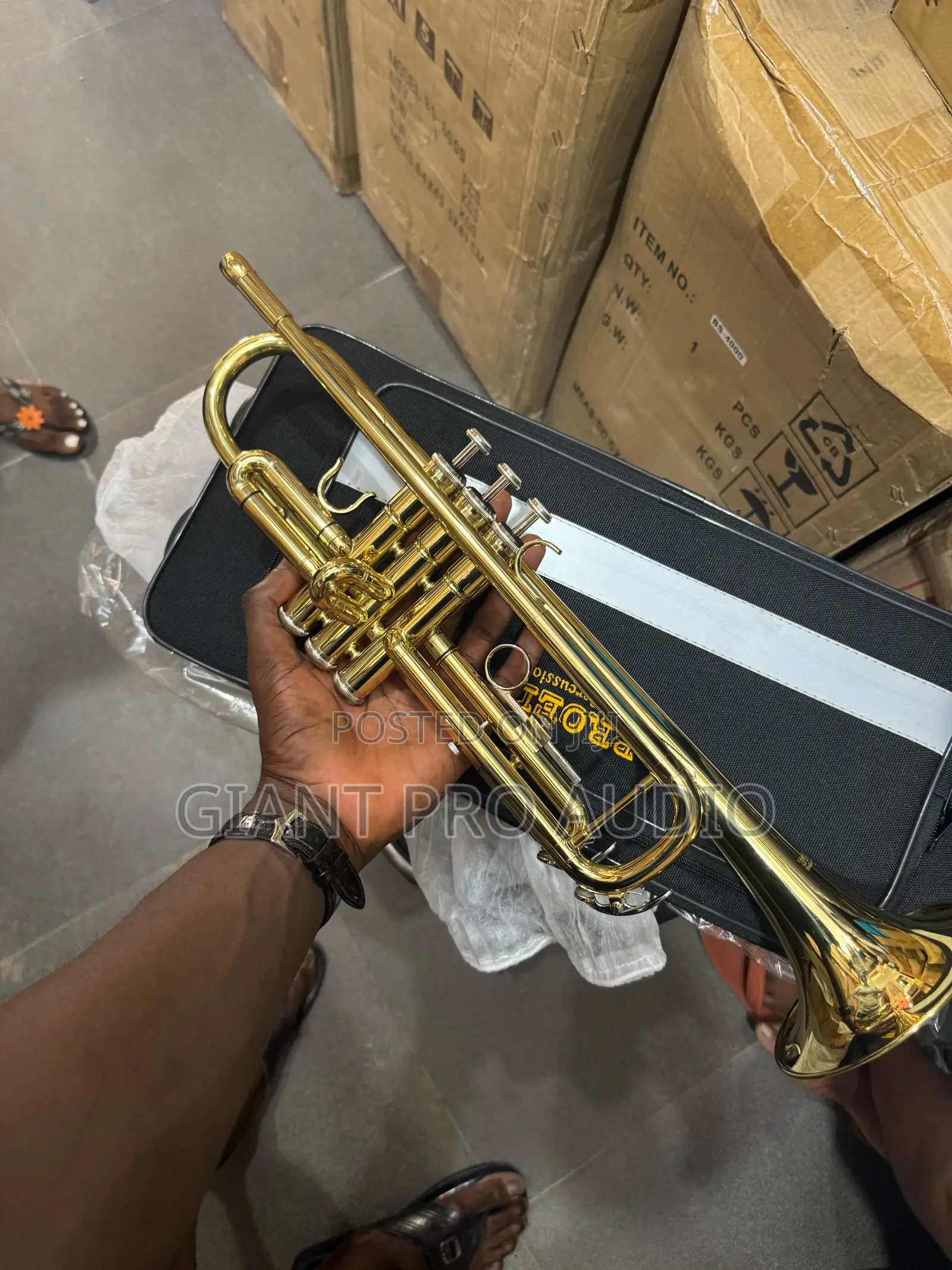 Proel Gold Trumpet