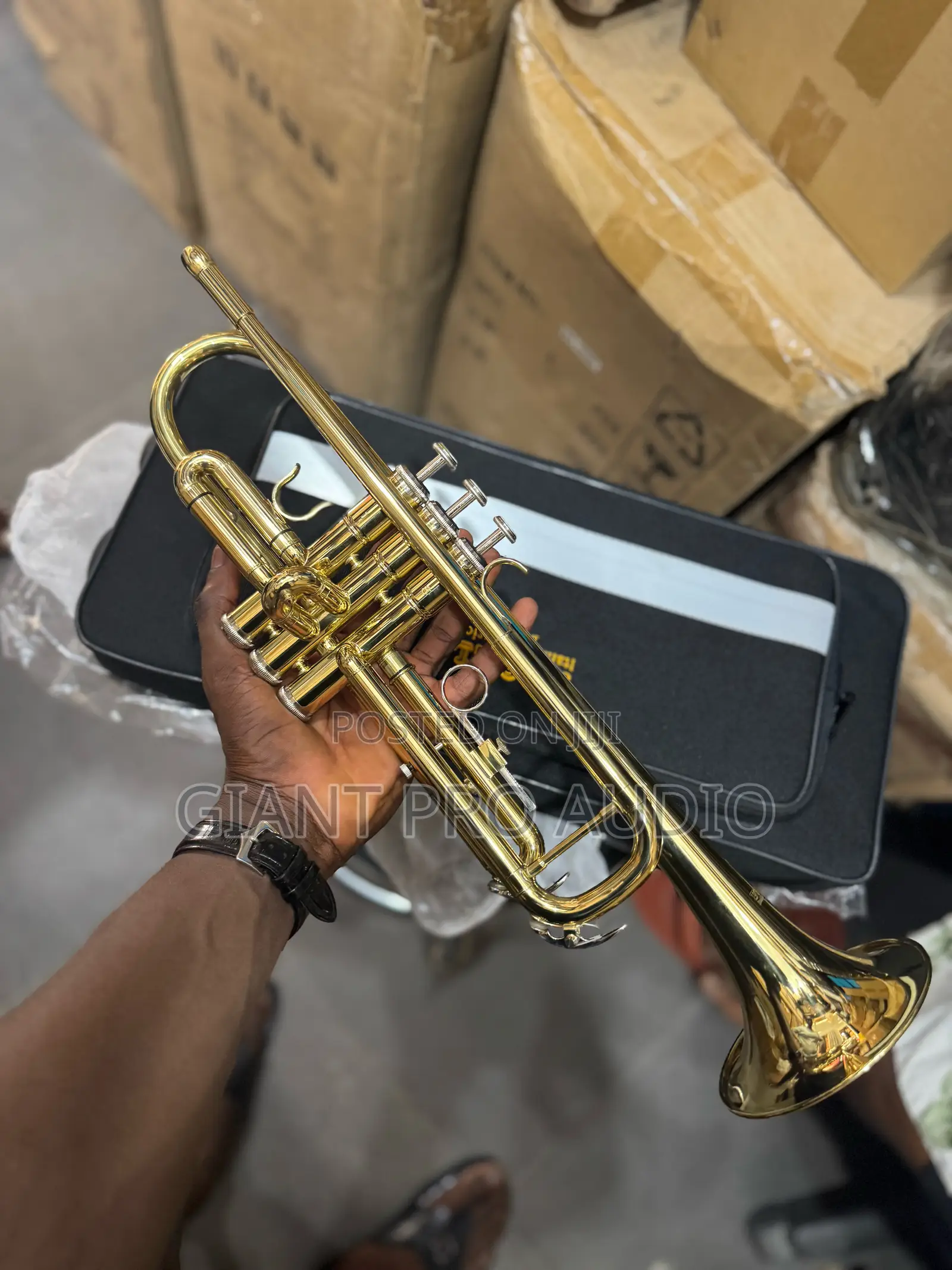 Proel Gold Trumpet