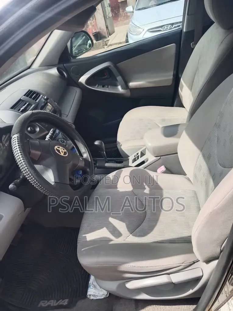 Toyota RAV4 2010 Brown