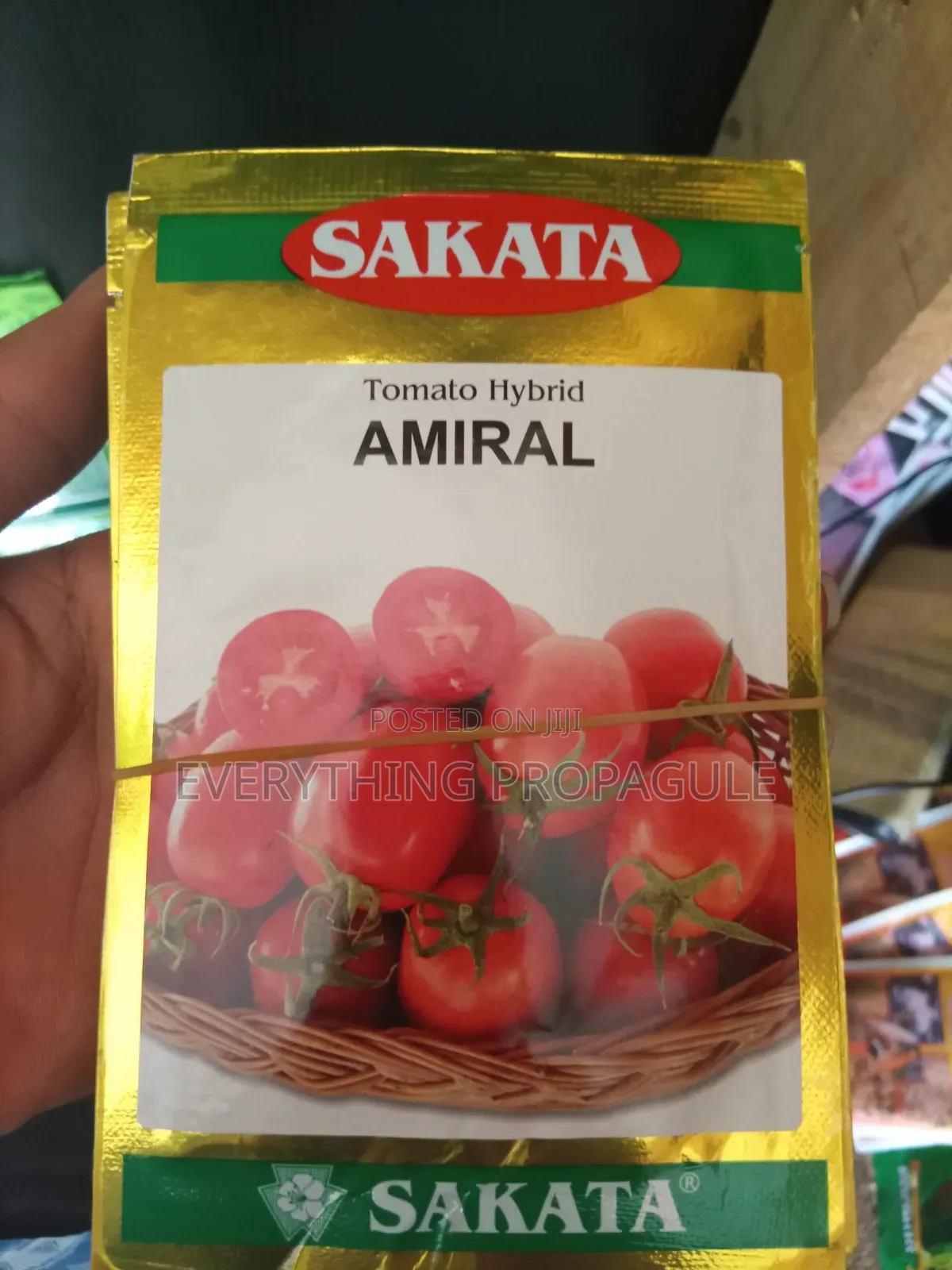 Sakata Tomato – Amiral Hybrid