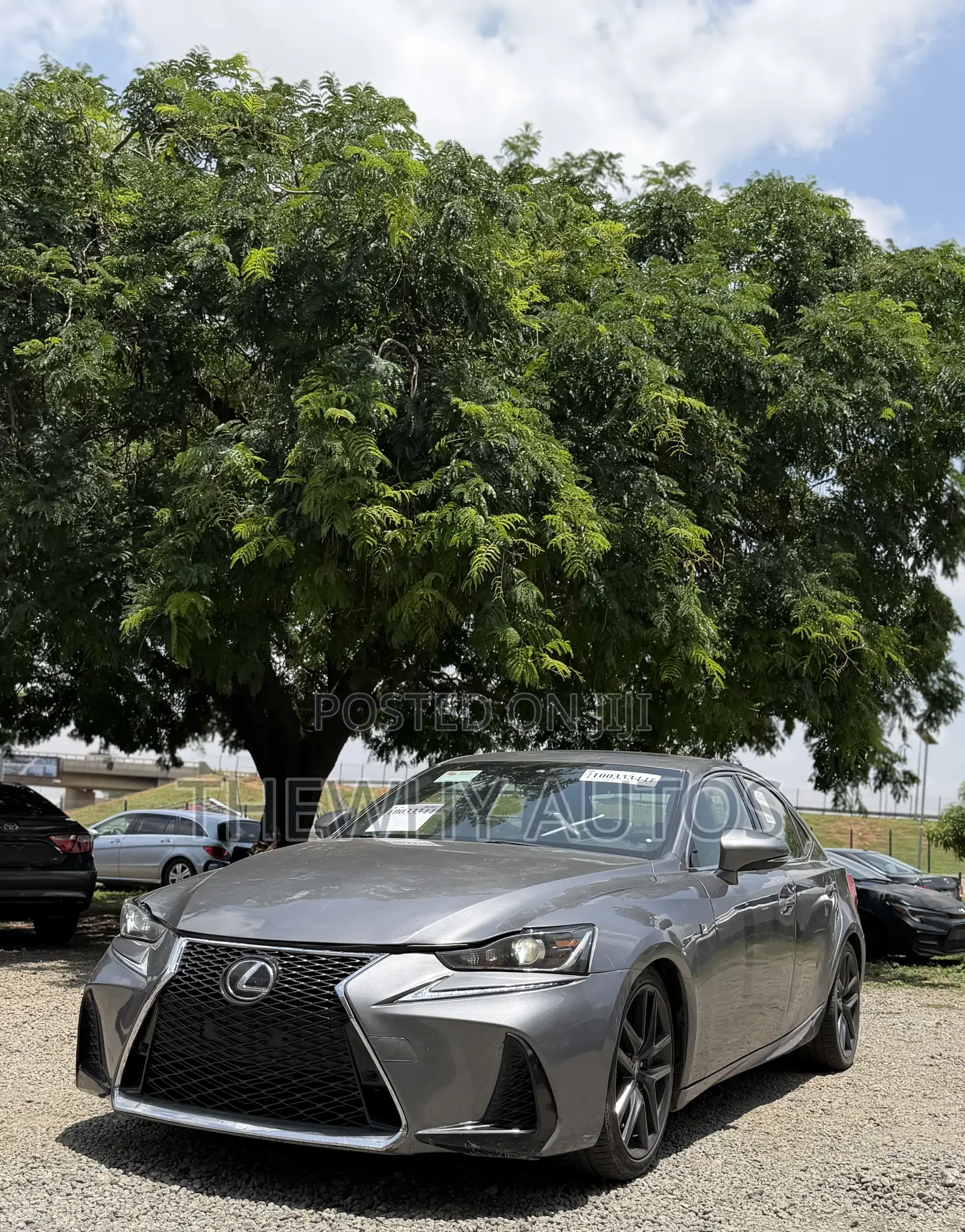 Lexus IS 300 AWD 2019 Gray