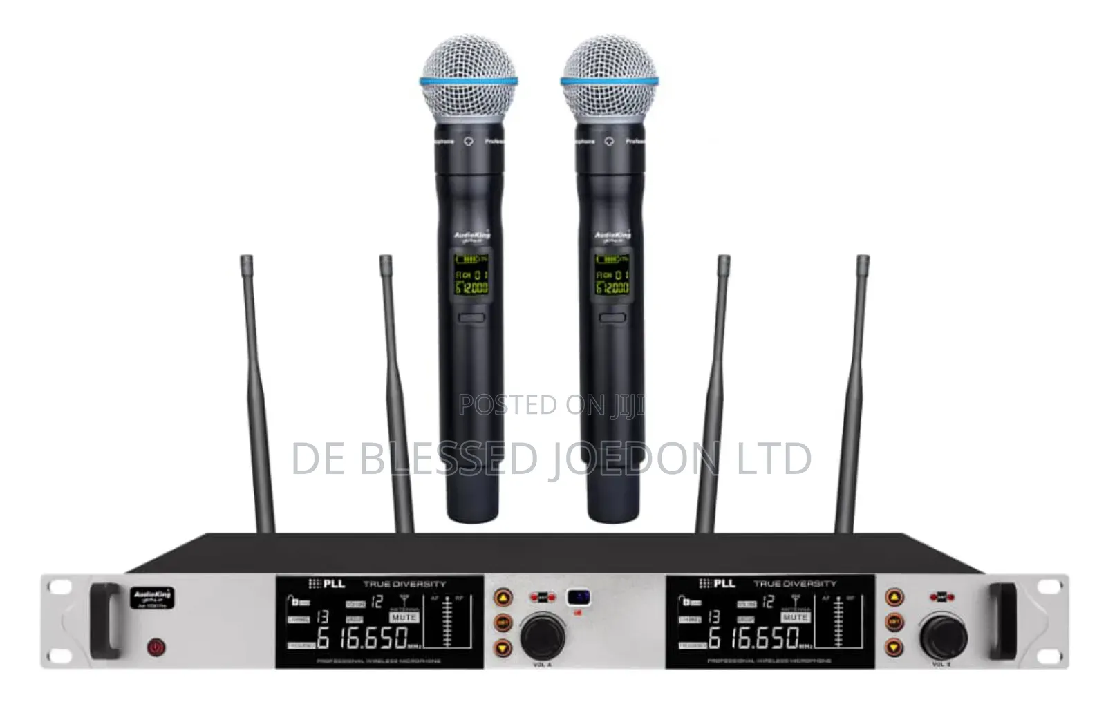 Audioking 2 in Wireless Microphone