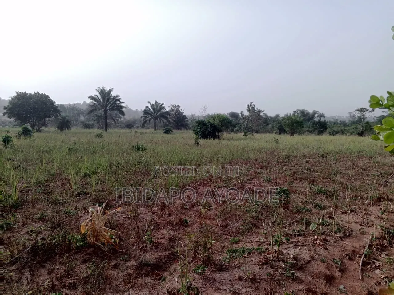 50 Acres Farmland