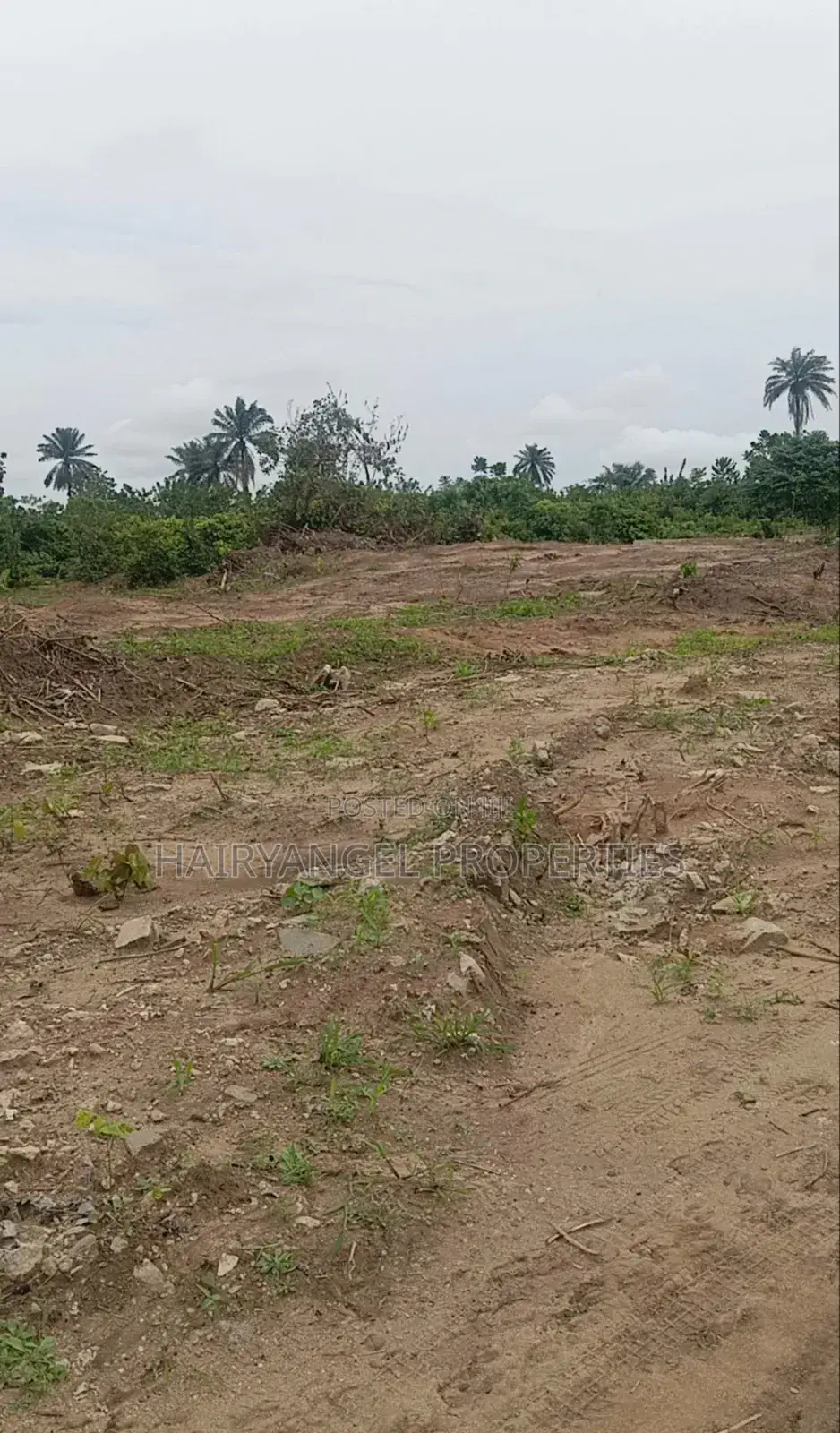 40m Land for Sale at Banana Highland Trans-Woji Portharcourt