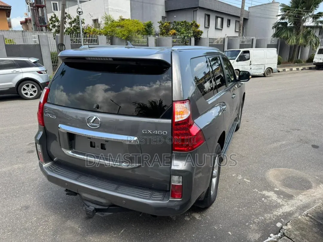 2010 Gx460 Head Lamp