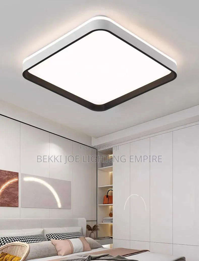 Fancy Led Ceiling Light