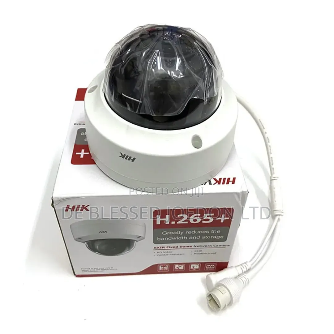 Hikvision Indoor and Outdoor Big Ip Camera
