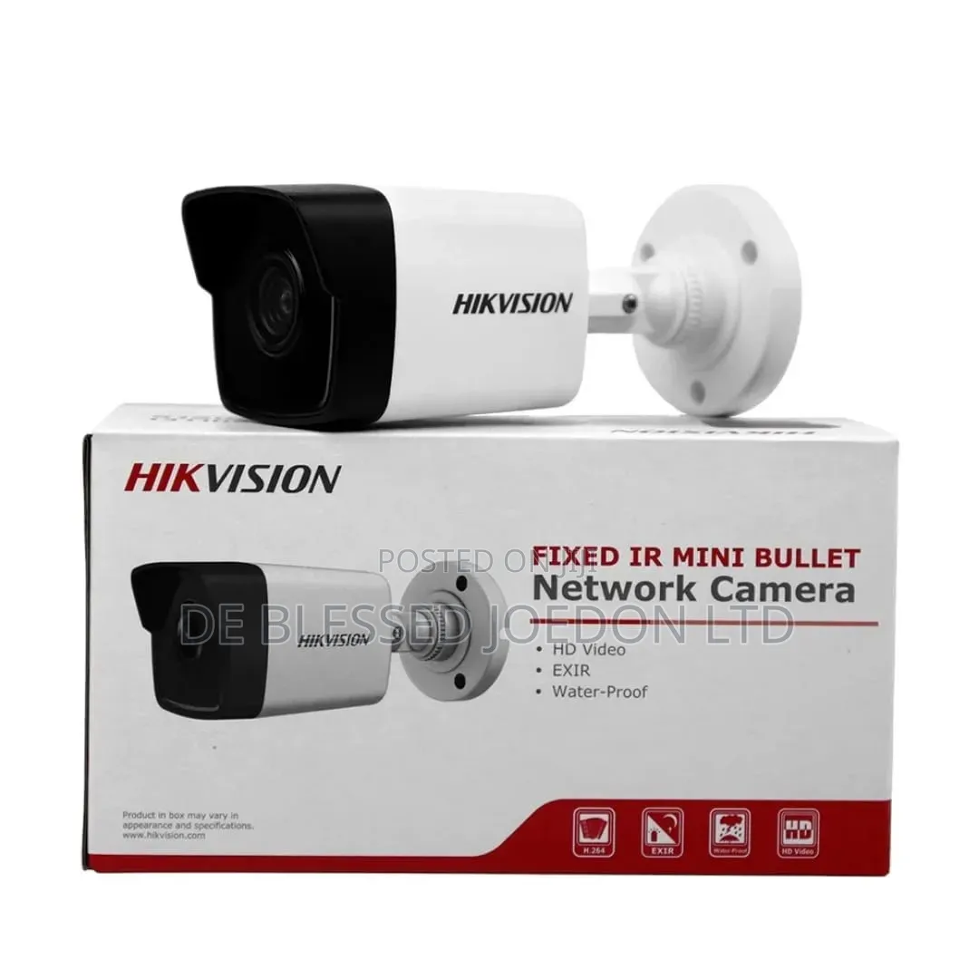 Hikvision Indoor and Outdoor Big Ip Camera
