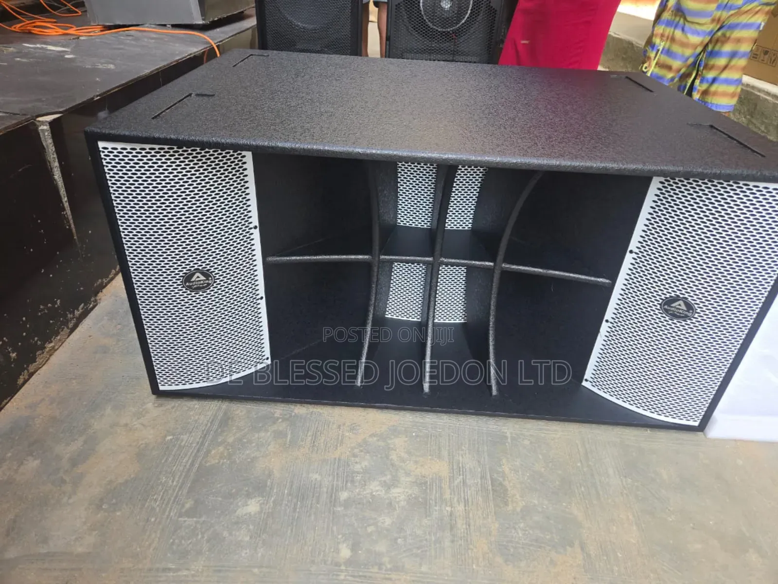 Audioking Professional Loud Speaker