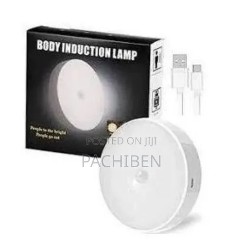 Body Induction Motion Sensor Light