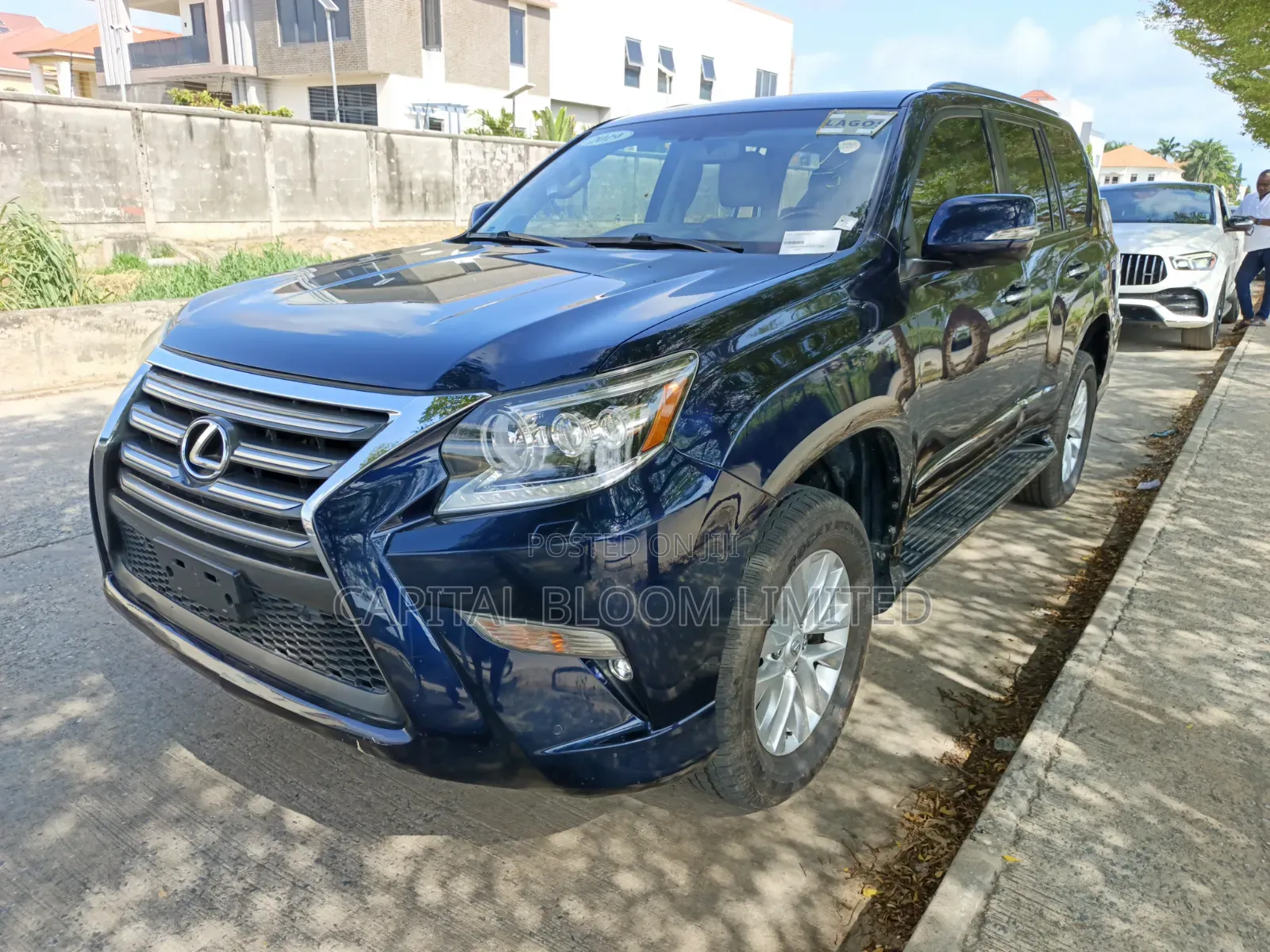 Lexus GX 460 Luxury 2019 Blue
