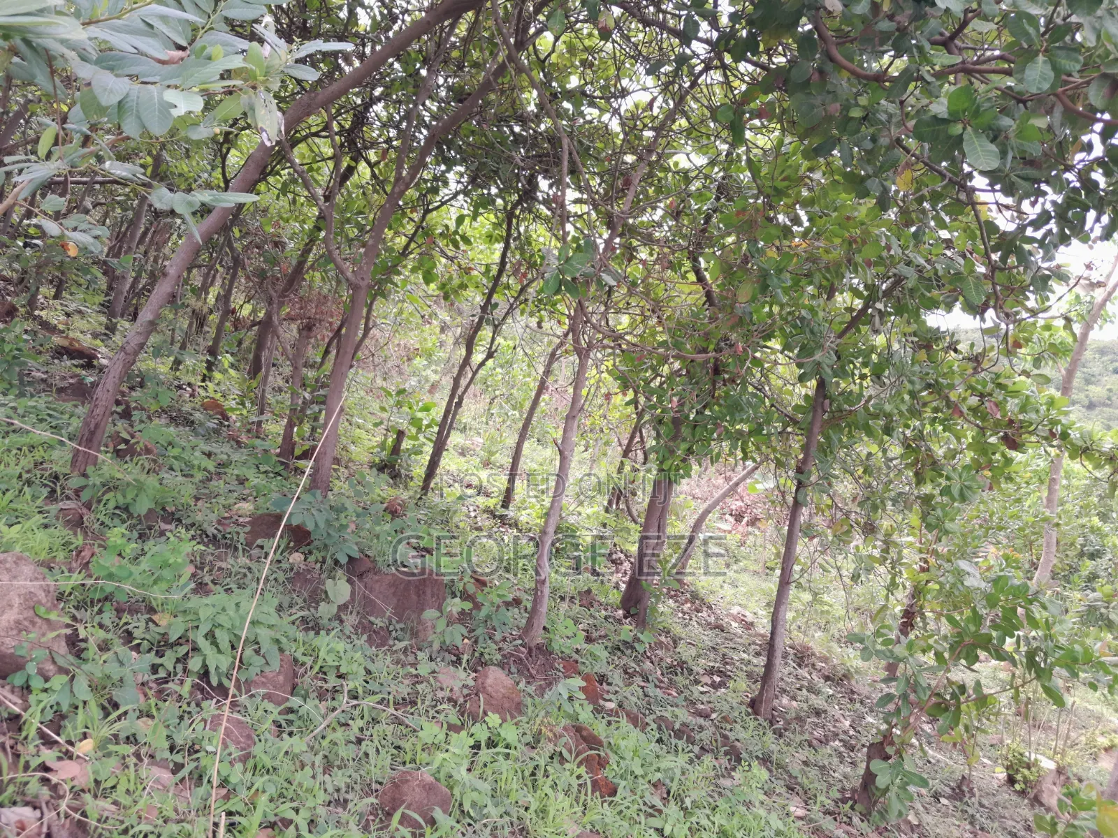 500sqm Land in Apo Resettlement, Abuja