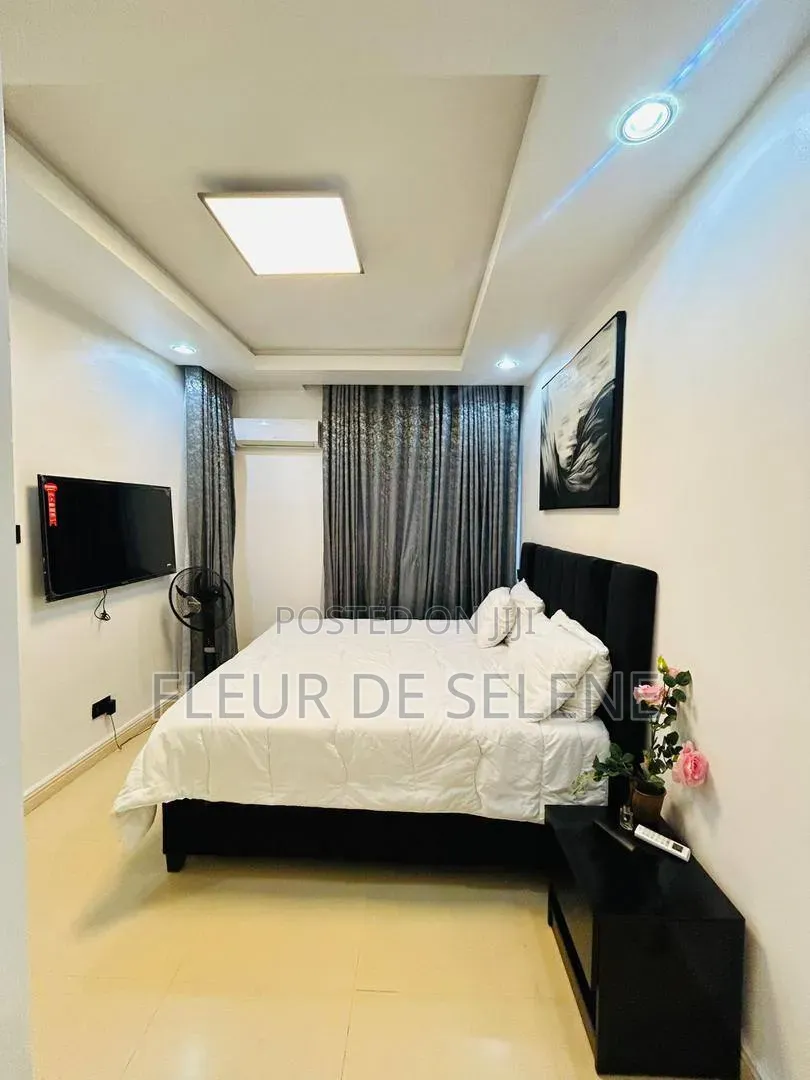 Furnished 3bdrm Apartment in Lagos Island / Lagos Island for rent