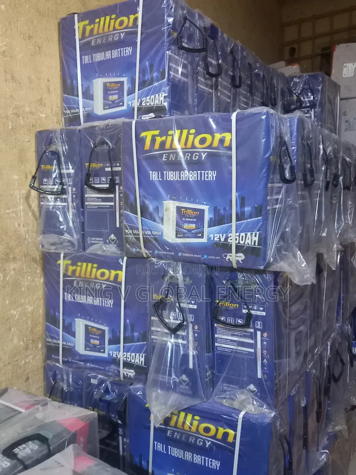 Trillion Energy 250ah 12v Tall Tubular Battery