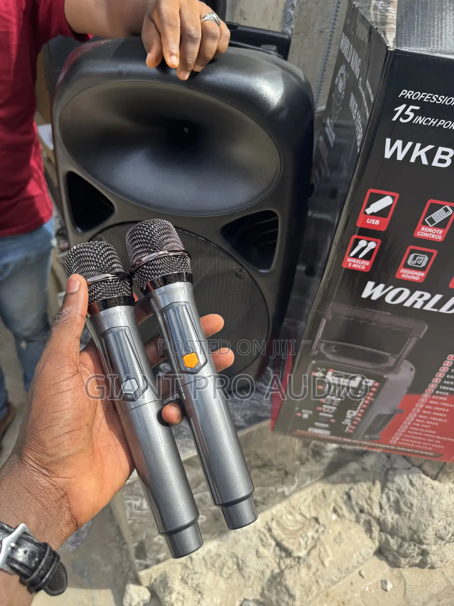 Worldking WKB-1515bl 15 Inches Portable Party Speaker (Public Adress)
