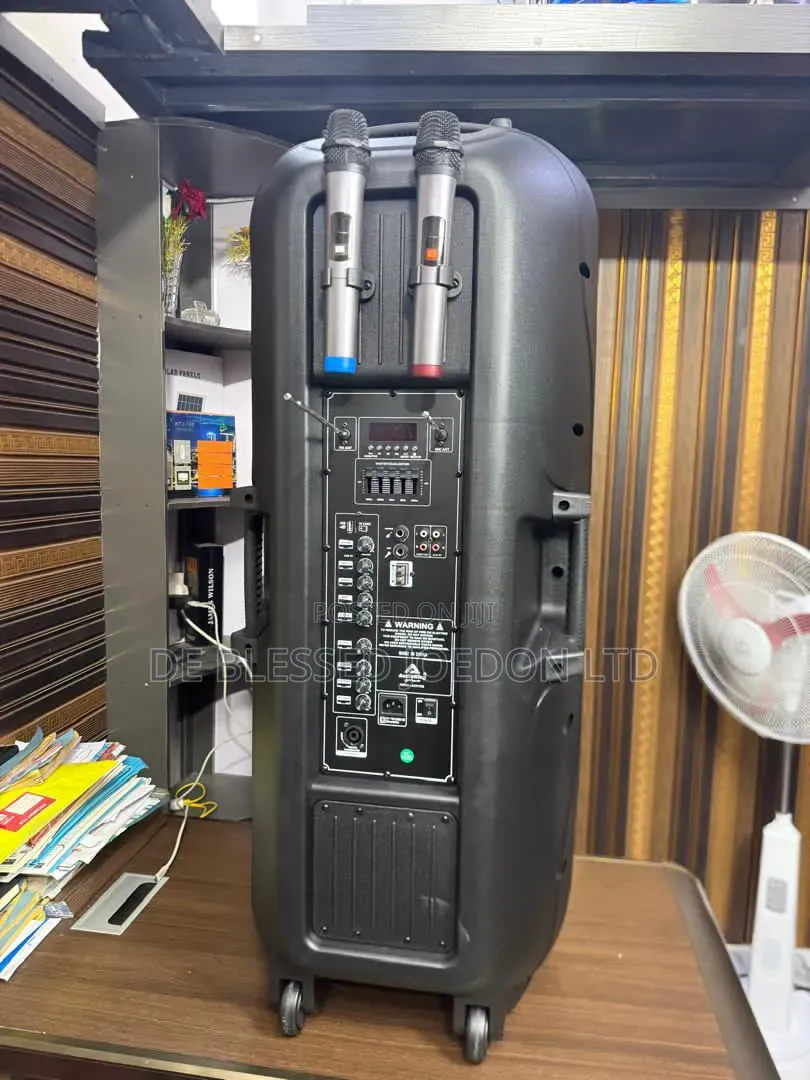 Audioking Public Address System Double 15 in Loudspeaker