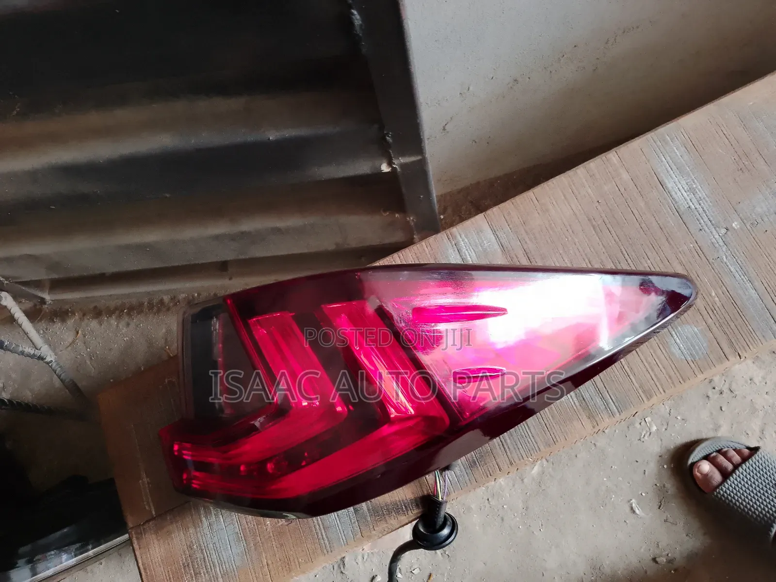 Back Light Rx 2018