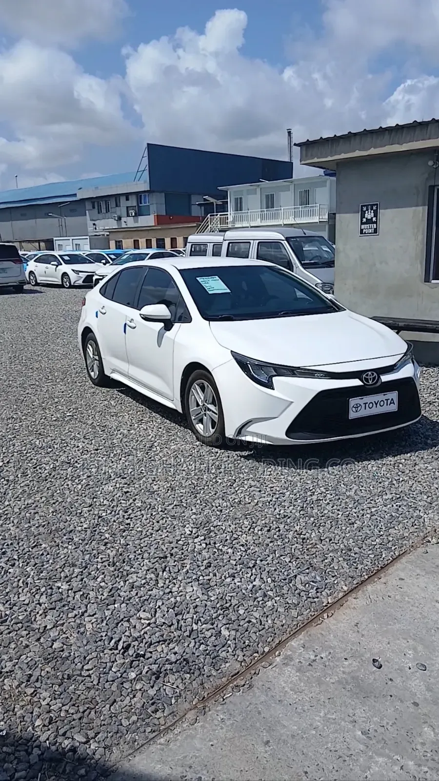 Toyota Corolla 2022 White