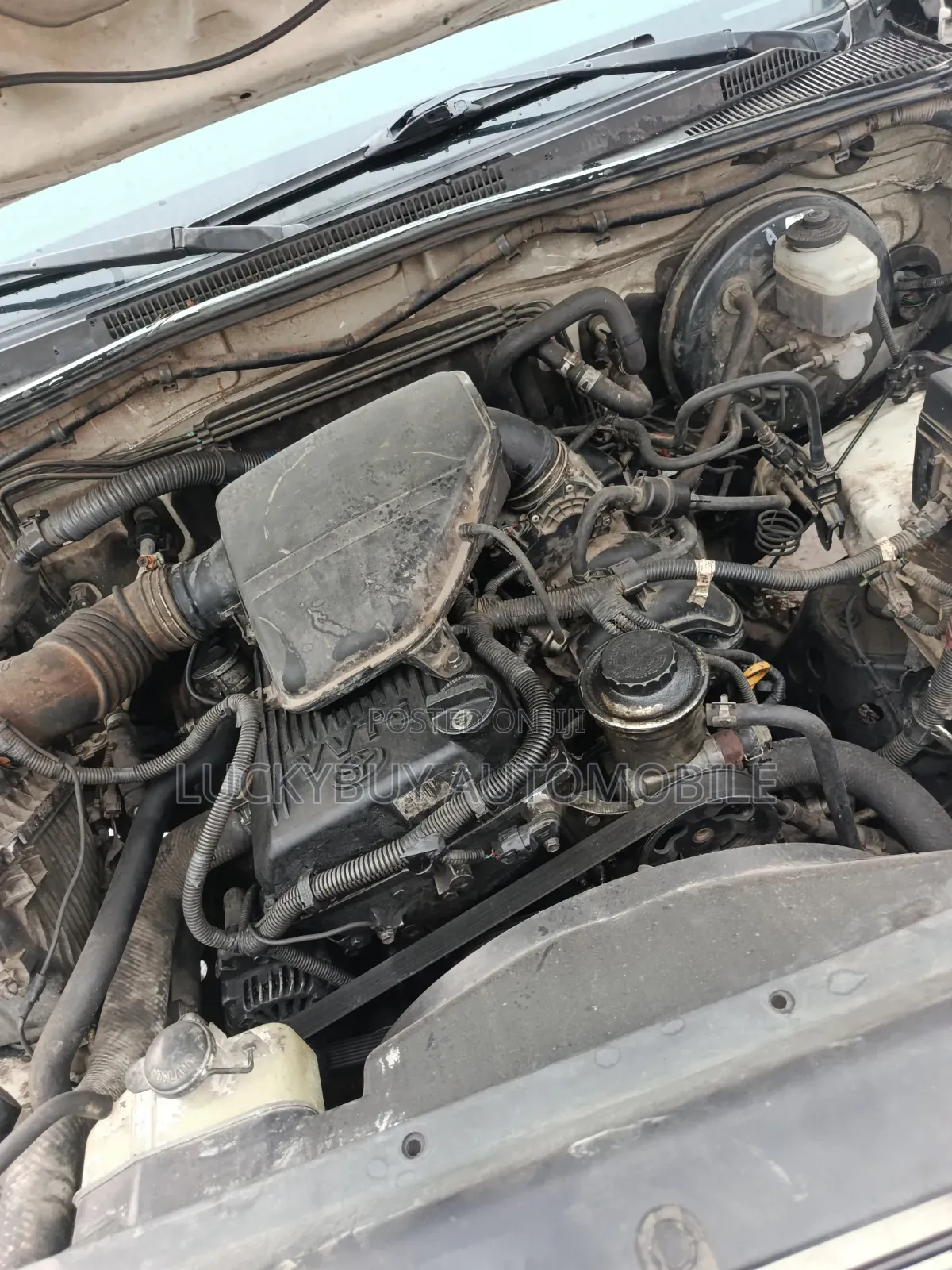 Toyota Tacoma PreRunner Access 2007 White