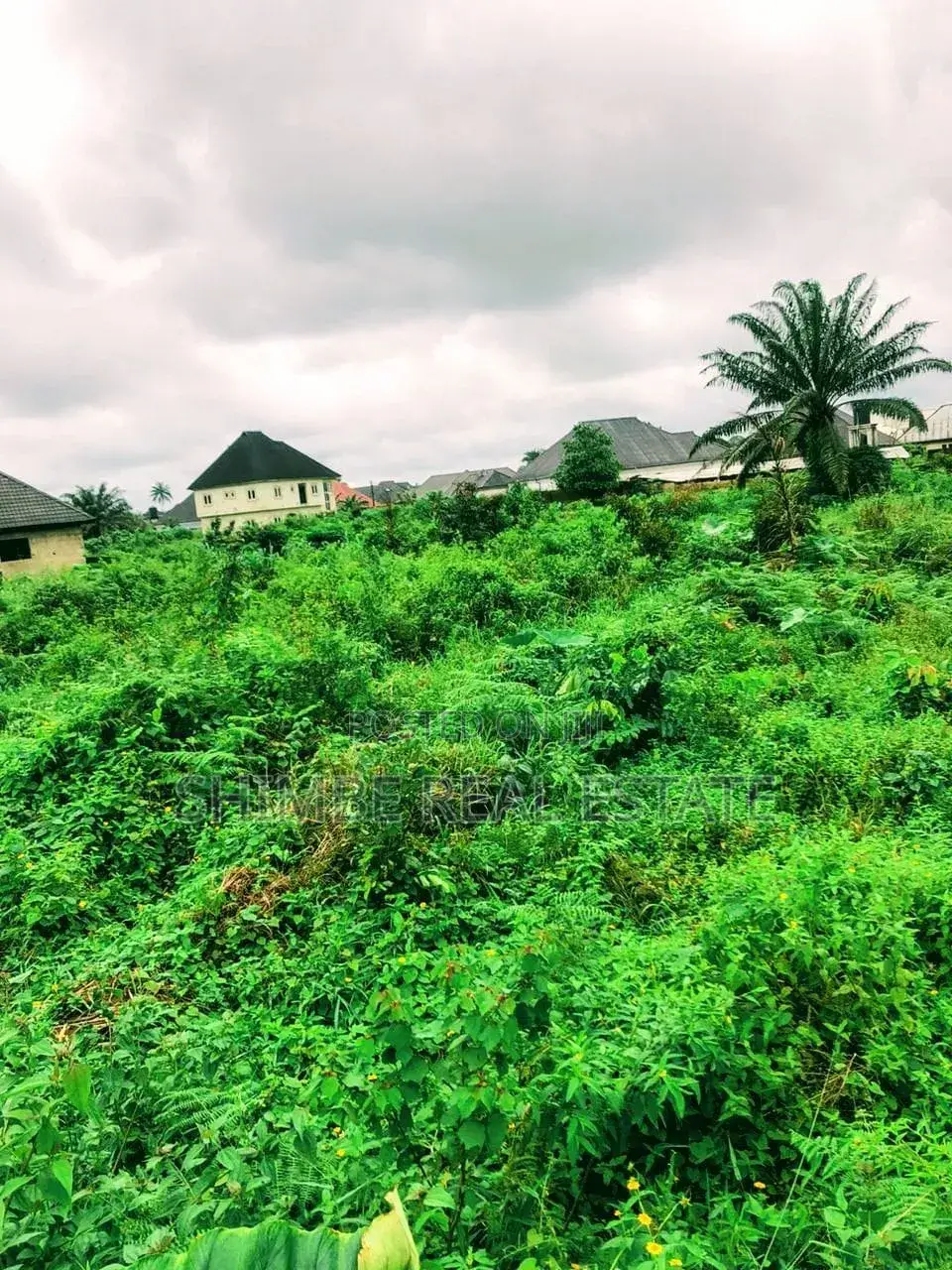 Land for Sale Osongoma Estate