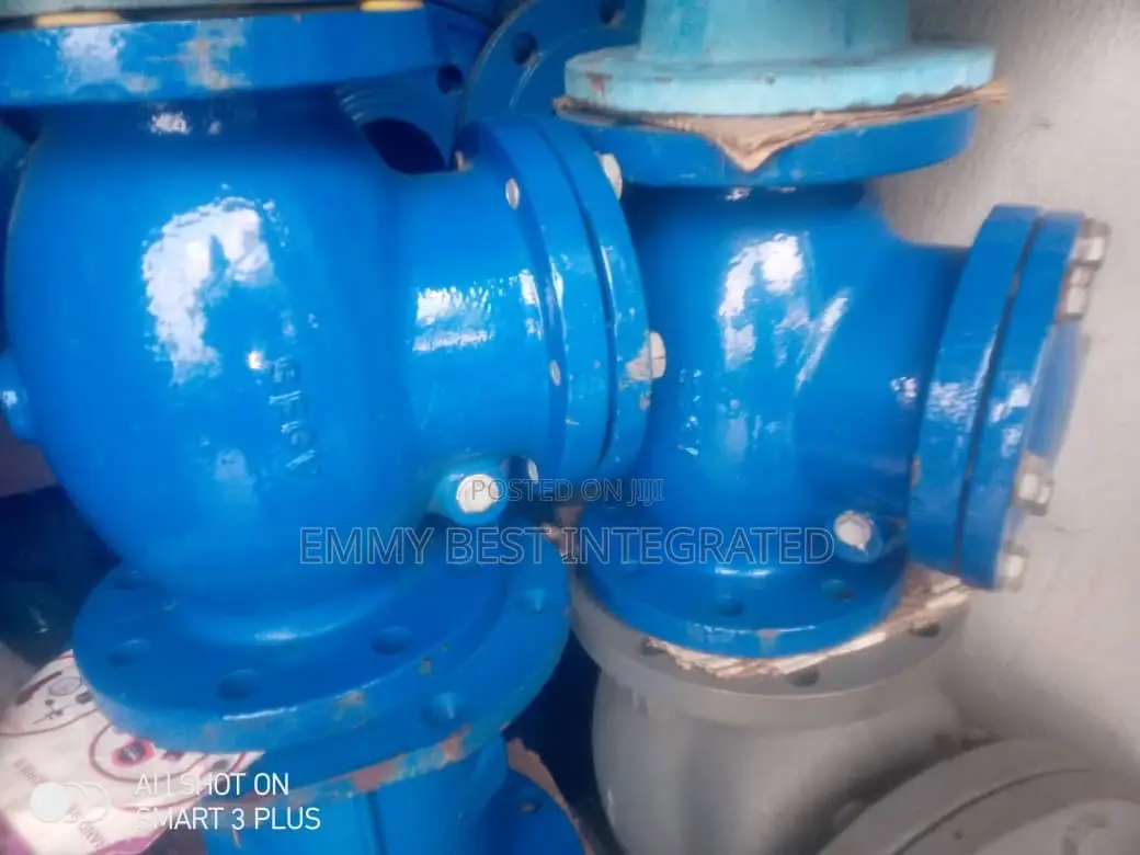 Industrial Check Valves