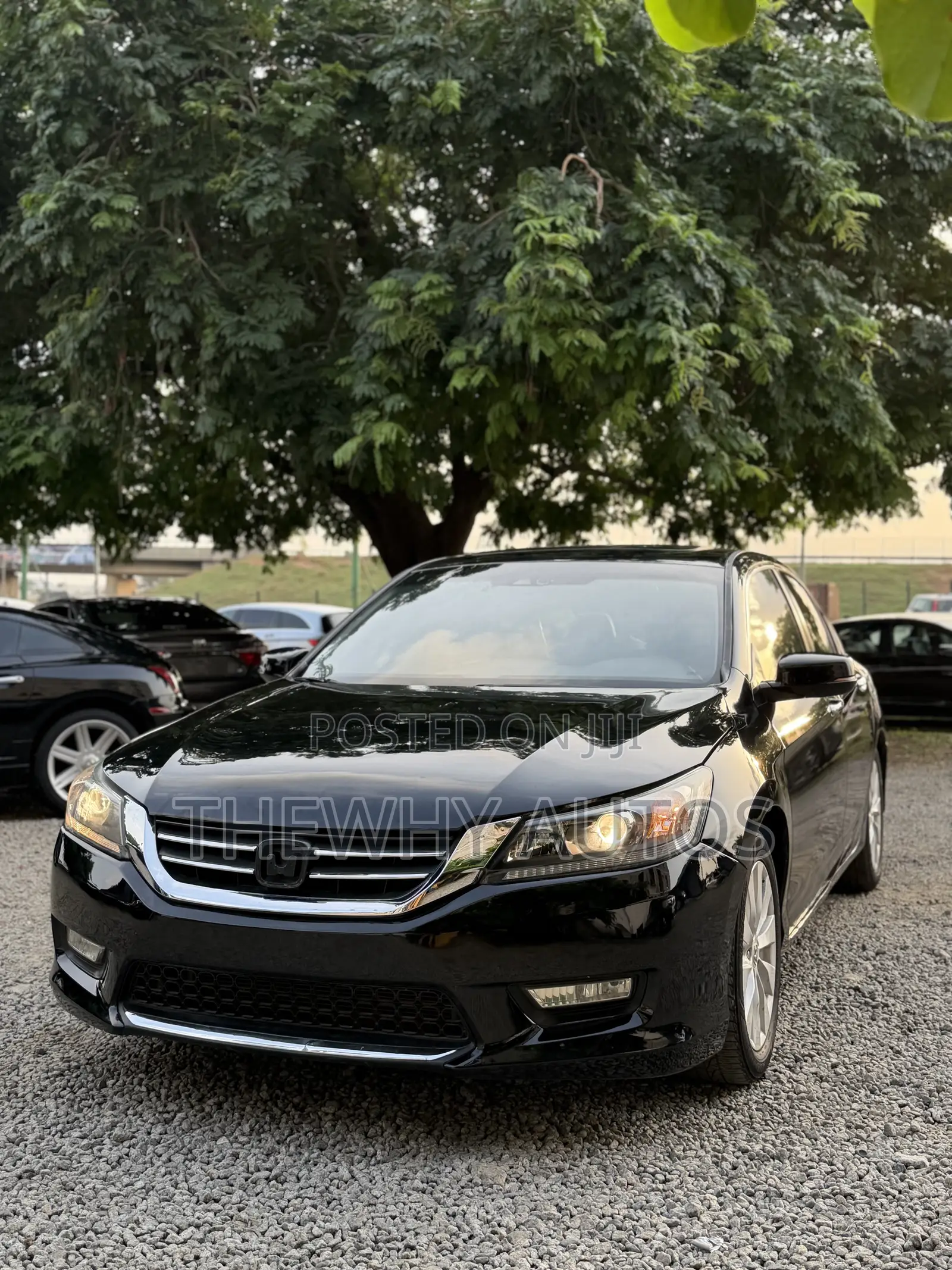 Honda Accord EX-L 4dr Sedan FWD (2.4L 4cyl 2A) 2013 Black