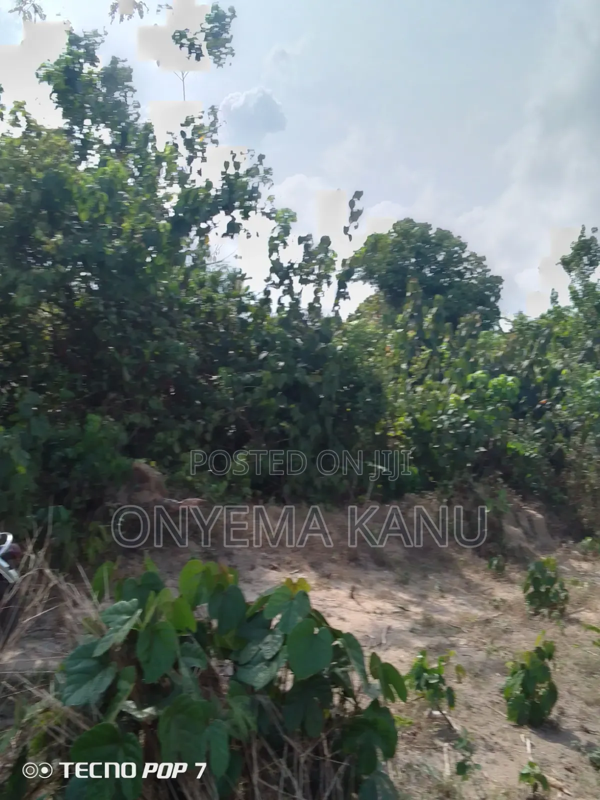 Waterfront Land for Fish Farming.