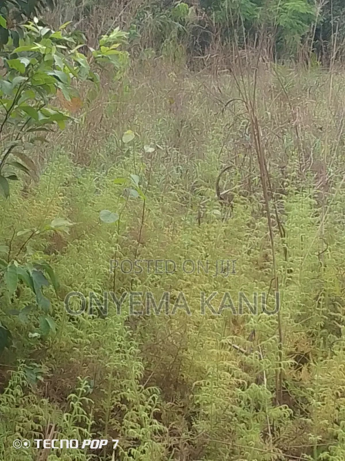 Waterfront Land for Fish Farming.