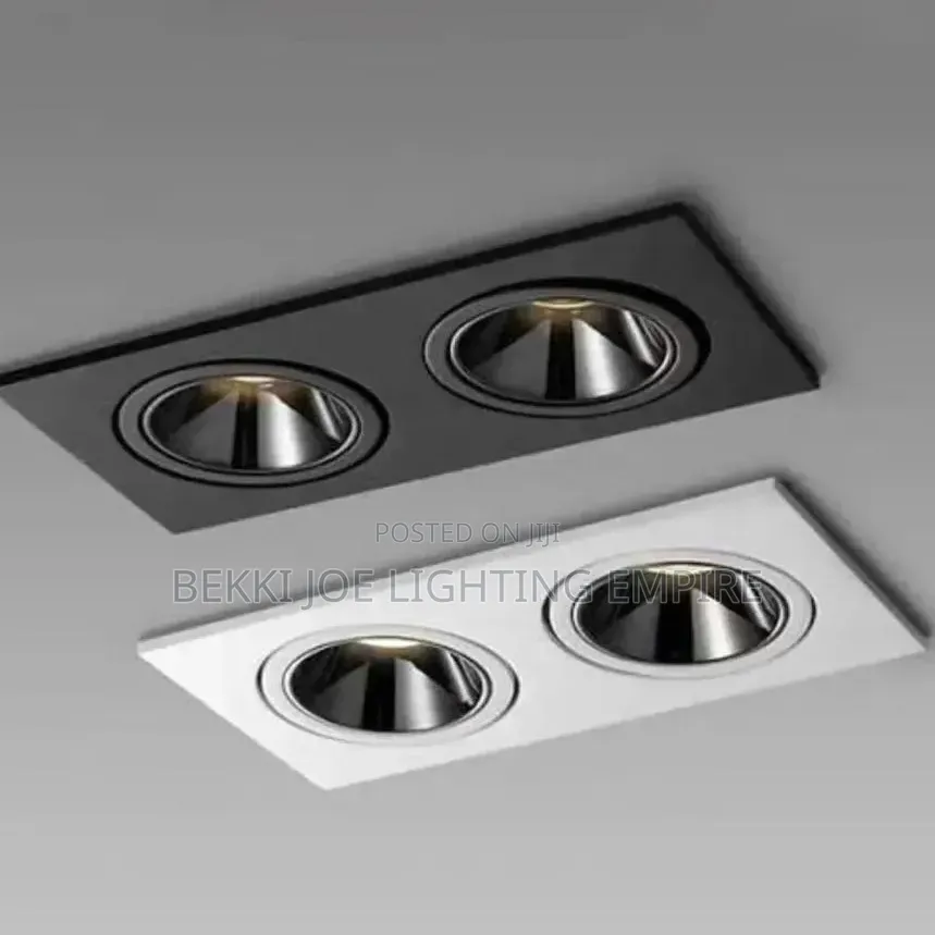Double Eye Recess Light