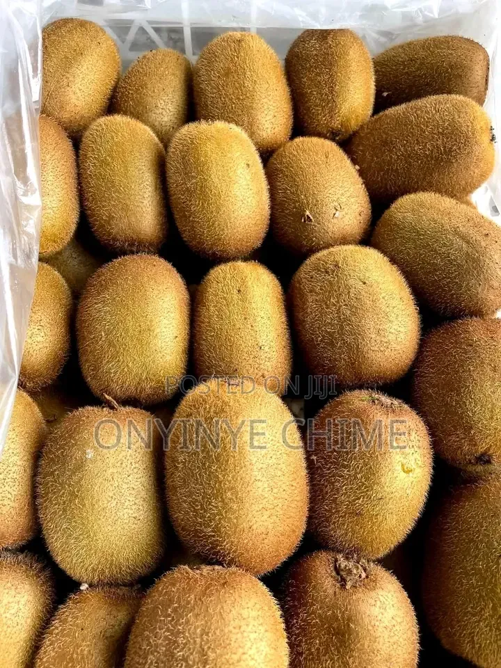 Kiwi Seedlings