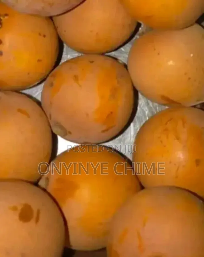 Udara Nwa Nnu Seedlings
