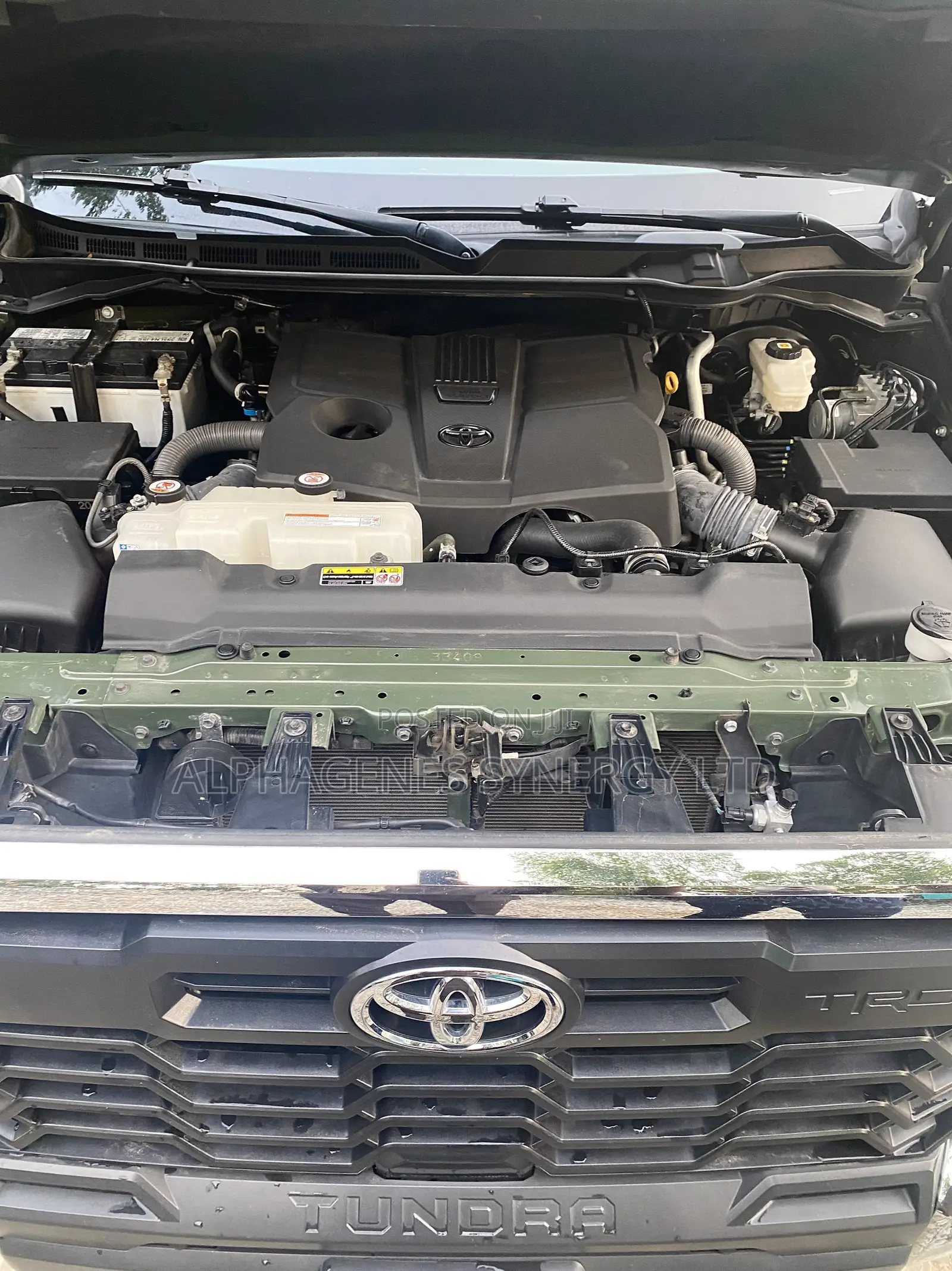 Toyota Tundra SR5 2022 Green