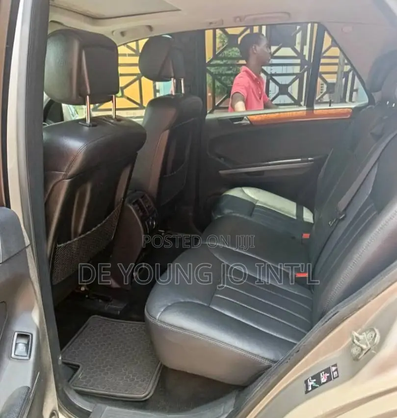 Mercedes-Benz M Class ML 350 4Matic 2010 Brown