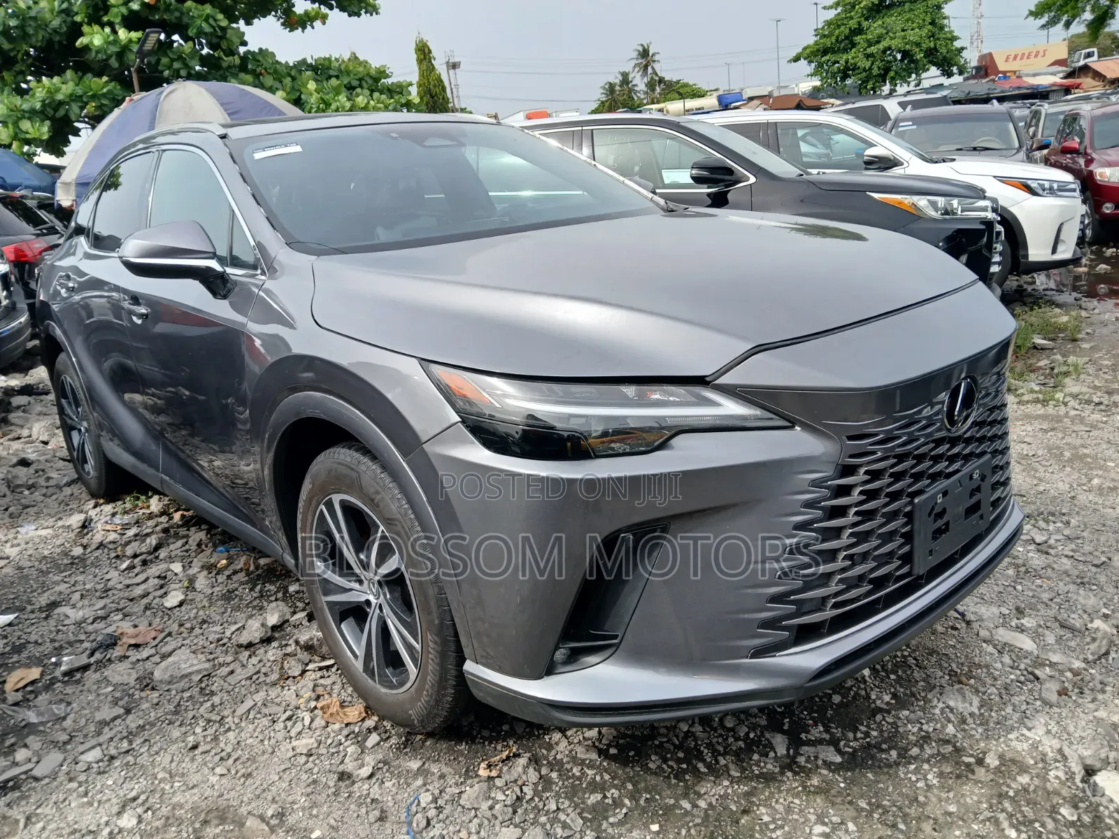 Lexus RX 350 AWD 2024 Gray